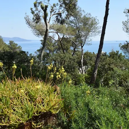 La Babiole Au Gaou-benat * Bormes-les-Mimosas